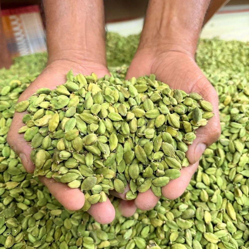 Green Cardamom Pods and Seeds